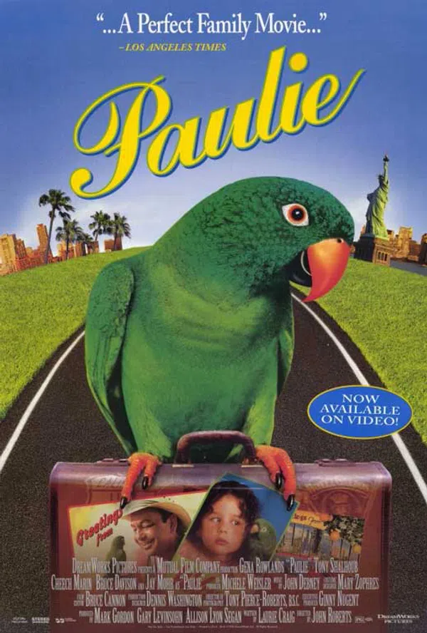 Xem Phim Chú Vẹt Paulie Vietsub HD Online