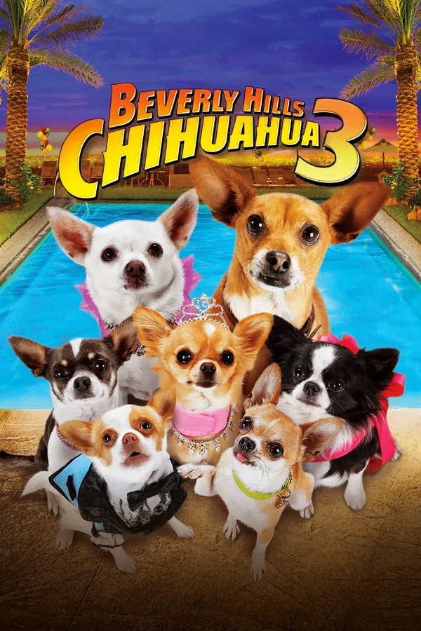 Xem Phim Những Chú Chó Chihuahua 3 Vietsub HD Online