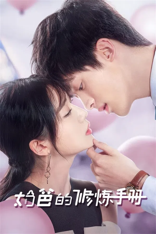 Xem Phim Sổ Tay Chăm Con Của Ông Bố Bỉm Sữa Vietsub HD Online