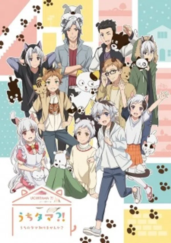 Xem Phim Uchi Tama?! Uchi no Tama Shirimasen ka? Vietsub HD Online