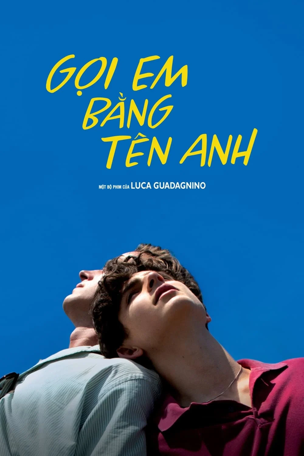 Gọi Em Bằng Tên Anh - Call Me by Your Name